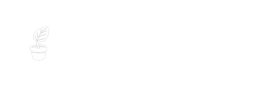 Planteseide